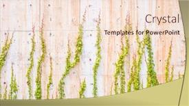  Presentation with ivy - Theme consisting of background-with-grey-wall background and a lemonade colored foreground