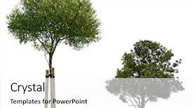  Presentation with clipping - Theme having background with included clipping path background and a white colored foreground