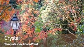  Presentation with autumn leaves - Cool new PPT theme with background with leaves and lantern backdrop and a  colored foreground