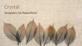  Presentation with canvas - Colorful presentation theme enhanced with background-with-leaves-on-canvas backdrop and a lemonade colored foreground