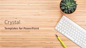  Presentation with succulent - Presentation theme featuring background-with-potted-succulent-plant background and a lemonade colored foreground