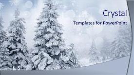  Presentation with fir tree - Cool new PPT layouts with background with snowy fir tree backdrop and a sky blue colored foreground