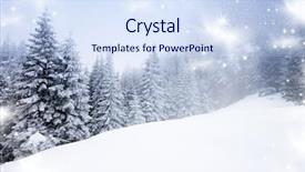  Presentation with trees - Slides having background with snowy fir tree background and a sky blue colored foreground