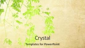  Presentation with multicolor yarn - PPT theme with background with space for text background and a  colored foreground