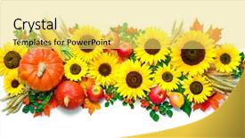  Presentation with rose hips - Beautiful presentation theme featuring background with sunflowers pumpkins apple backdrop and a yellow colored foreground