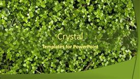  Presentation with green nature - Presentation design consisting of background-with-the-green-grass background and a tawny brown colored foreground