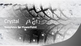  Presentation with thorns - PPT layouts with the background of rack background and a light gray colored foreground