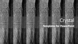  Presentation with black art - Slide set having backgrounds-and-textures-black and a gray colored foreground