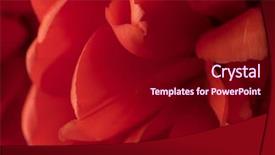  Presentation with marriage card - Slides having backgrounds greeting card wedding invitation background and a crimson colored foreground