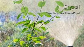  Presentation with sprinkler system - Colorful PPT theme enhanced with backlight-lawn-sprinkler-spaying-water backdrop and a mint green colored foreground