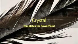  Presentation with feather - PPT theme having backlit-pheasant-feather-white-background background and a tawny brown colored foreground