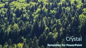  Presentation with pine forest - Beautiful presentation theme featuring backlit-pine-tree-forest backdrop and a navy blue colored foreground