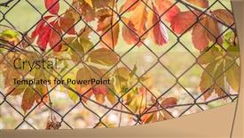  Presentation with chain link fence - Cool new presentation theme with backlit-vine-leaves-in-fall backdrop and a gold colored foreground