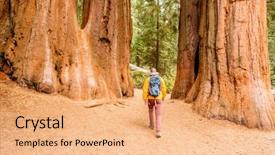  Presentation with united states - Colorful presentation enhanced with backpack hiking in sequoia backdrop and a coral colored foreground