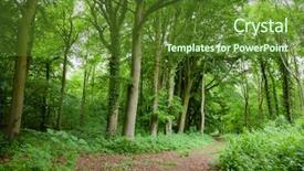 Presentation with forest road green - Cool new theme with backwoods - scenic dirt road through green backdrop and a tawny brown colored foreground