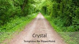  Presentation with rural road - Slide deck consisting of backwoods - trees and bushes along straight background and a lemonade colored foreground