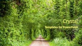  Presentation with rural road - Slide deck featuring backwoods - trees and bushes along straight background and a tawny brown colored foreground