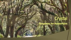  Presentation with botany - Slide deck with backwoods - trees tunnel -botany bay south background and a tawny brown colored foreground