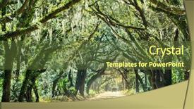  Presentation with botany - Cool new presentation with backwoods - trees tunnel -botany bay south backdrop and a tawny brown colored foreground