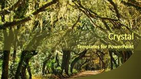  Presentation with botany - Audience pleasing theme consisting of backwoods - trees tunnel -botany bay south backdrop and a tawny brown colored foreground