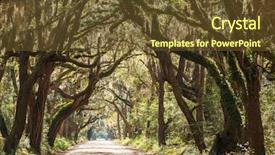  Presentation with botany - PPT theme with backwoods - trees tunnel -botany bay south background and a tawny brown colored foreground