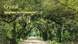  Presentation with botany - Amazing slide set having backwoods - trees tunnel -botany bay south backdrop and a  colored foreground