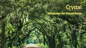 Presentation with botany - Colorful presentation theme enhanced with backwoods - trees tunnel -botany bay south backdrop and a tawny brown colored foreground