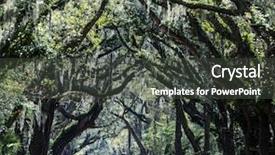  Presentation with botany - Colorful PPT layouts enhanced with backwoods - trees tunnel -botany bay south backdrop and a  colored foreground