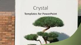  Presentation with high quality - PPT theme consisting of backyard-garden-with-nicely-trimmed background and a white colored foreground