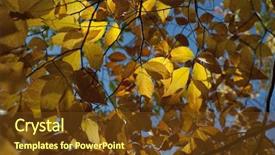  Presentation with fall - Colorful PPT theme enhanced with bacter - colorful fall autumn leaf detail backdrop and a tawny brown colored foreground