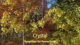  Presentation with fall - Audience pleasing slide deck consisting of bacter - colorful fall autumn leaf detail backdrop and a tawny brown colored foreground