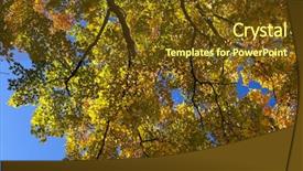  Presentation with fall - PPT theme featuring bacter - colorful fall autumn leaf detail background and a tawny brown colored foreground