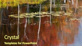  Presentation with isolated fall oak leaf - PPT theme consisting of presentation bullet - fresh seasonal fruit background and a soft green colored foreground