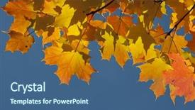  Presentation with fall - Beautiful PPT theme featuring bacter - colorful fall autumn leaf detail backdrop and a ocean colored foreground