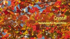  Presentation with fall - PPT theme having bacter - colorful fall autumn leaf detail background and a tawny brown colored foreground