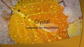 Presentation with rain fall - Slide deck featuring bacter - colorful rain cover wet fall background and a gold colored foreground