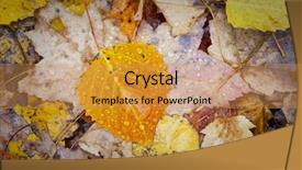  Presentation with rain fall - Cool new theme with bacter - colorful rain cover wet fall backdrop and a yellow colored foreground
