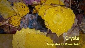  Presentation with rain fall - PPT theme consisting of bacter - colorful rain cover wet fall background and a tawny brown colored foreground