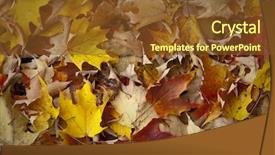  Presentation with rain fall - Amazing theme having cloud computing concept - world wide data sharing and communication backdrop and a lemonade colored foreground