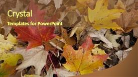  Presentation with rain fall - PPT layouts consisting of bacter - colorful rain cover wet fall background and a tawny brown colored foreground