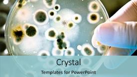  Presentation with petri dish - Presentation design having bacteria - gloved hand holding a petri background and a light blue colored foreground