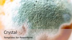  Presentation with mold - Slide deck with bacteria - green mold on an orange background and a lemonade colored foreground