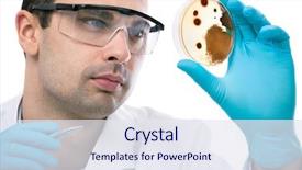  Presentation with petri dish - PPT theme consisting of bacteria - scientist observing petri dish background and a sky blue colored foreground