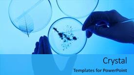  Presentation with scientist - Amazing PPT layouts having bacteria - scientist working with petri dishes backdrop and a cyan colored foreground