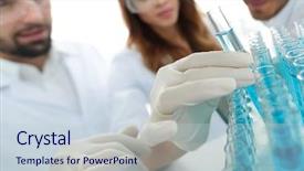  Presentation with bacteria - PPT layouts consisting of plants bacteria - background image is a group background and a lemonade colored foreground