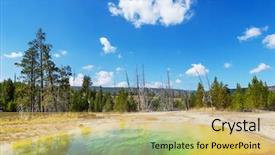  Presentation with catholic glory - Presentation consisting of bacteria trees - morning glory pool background and a  colored foreground