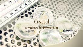  Presentation with bacterial dna - Amazing PPT theme having bacterial dna - leaves in petri dishes backdrop and a lemonade colored foreground