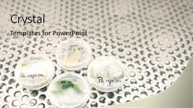  Presentation with bacterial dna - Colorful presentation design enhanced with bacterial dna - leaves in petri dishes backdrop and a soft green colored foreground