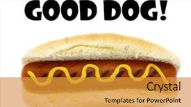 Presentation with favorite food - Slide set enhanced with good vs bad - hot dog america's favorite snack background and a gold colored foreground
