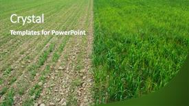  Presentation with bad - Audience pleasing PPT theme consisting of bad and good wheaten field backdrop and a tawny brown colored foreground